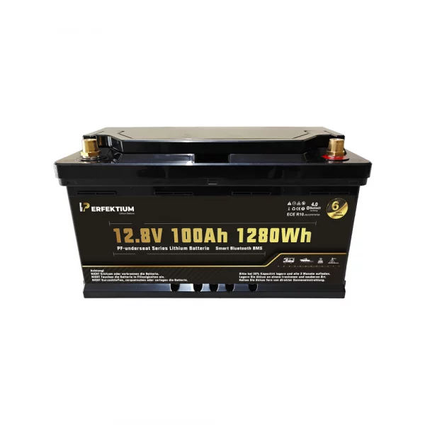 Perfektium PF SERIE Lithium Batterie LiFePO4 12.8V 100Ah Smart BMS mit Bluetooth Wohnmobil Untersitzbatterie-3 Perfektium PF SERIE Lithium Batterie LiFePO4 12.8V 100Ah Smart BMS mit Bluetooth Wohnmobil Untersitzbatterie-3