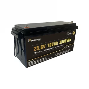 Perfektium PB SERIES Lithium Batterie LiFePO4 25.6V 100Ah PRO Smart BMS mit Bluetooth-1 Perfektium PB SERIES Lithium Batterie LiFePO4 25.6V 100Ah PRO Smart BMS mit Bluetooth-1