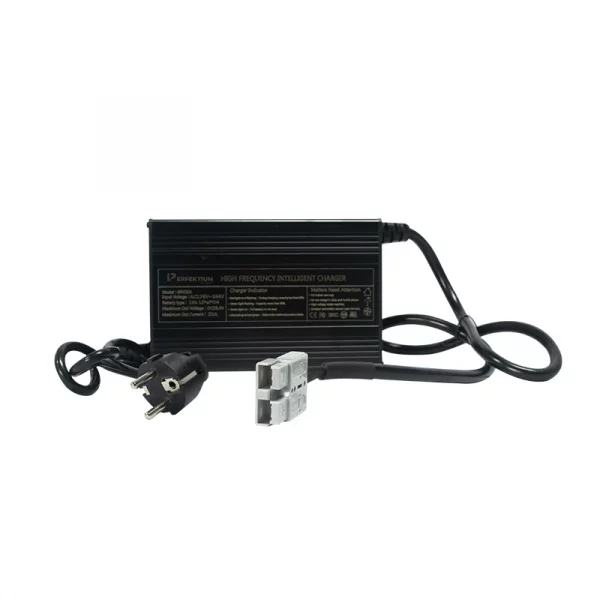 Perfektium 48V 20A charger-6