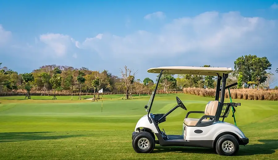 LiFePO4-Traktionsbatterie für Golfwagenflotten